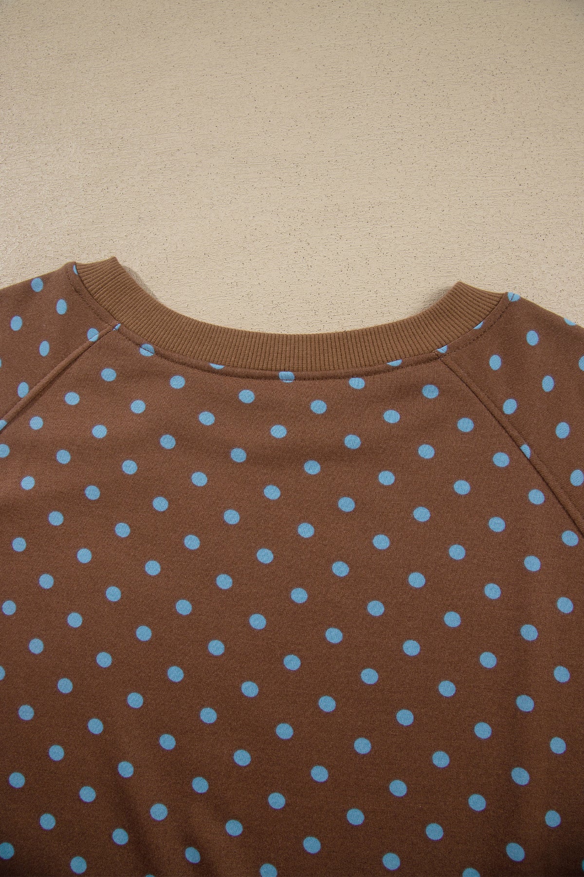 Brown Polka Dot Round Neck Long Sleeve Plus Size Set