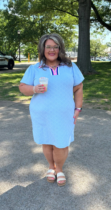 Rose Stripe Collared Puff Sleeve Pocket Plus Size Pop of Color Neckline Dress main image 0
