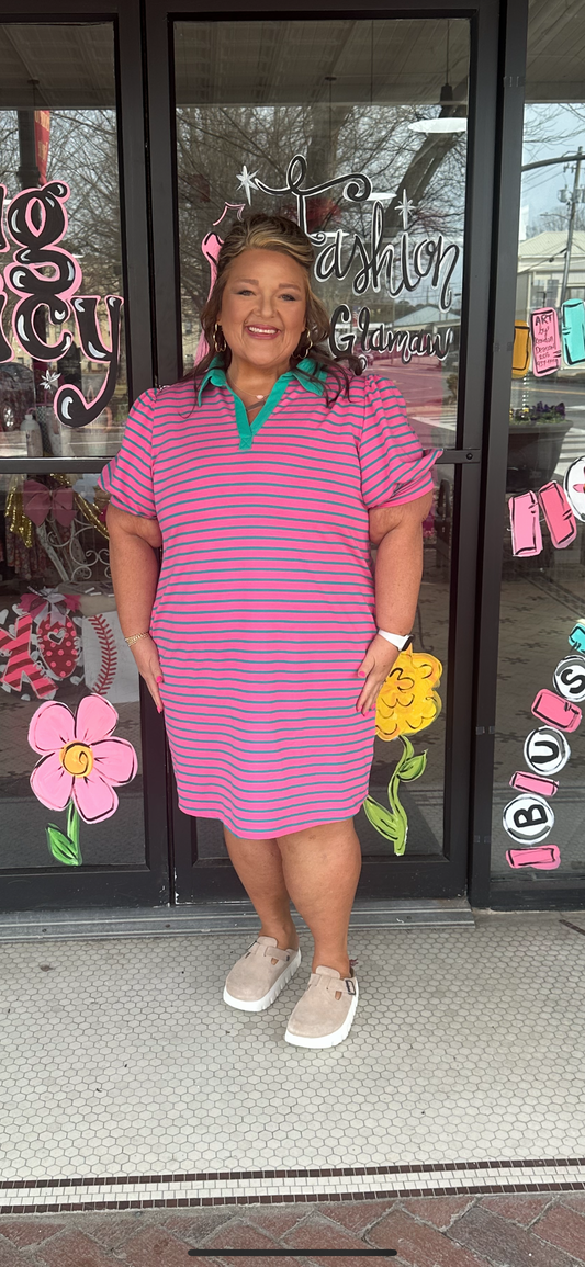 Rose Stripe Collared Puff Sleeve Pocket Plus Size Pop of Color Neckline Dress