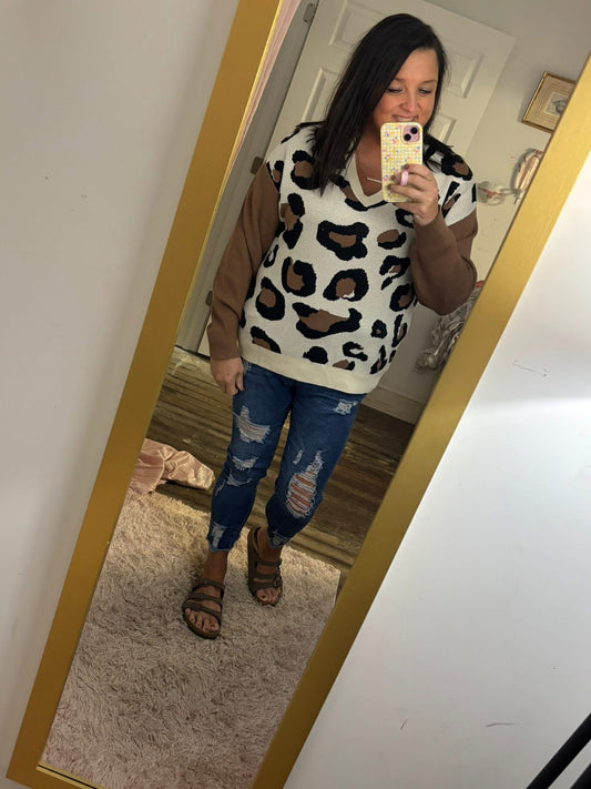 Jet Stream Leopard Print Colorblock Patchwork Sleeve V Neck Sweater