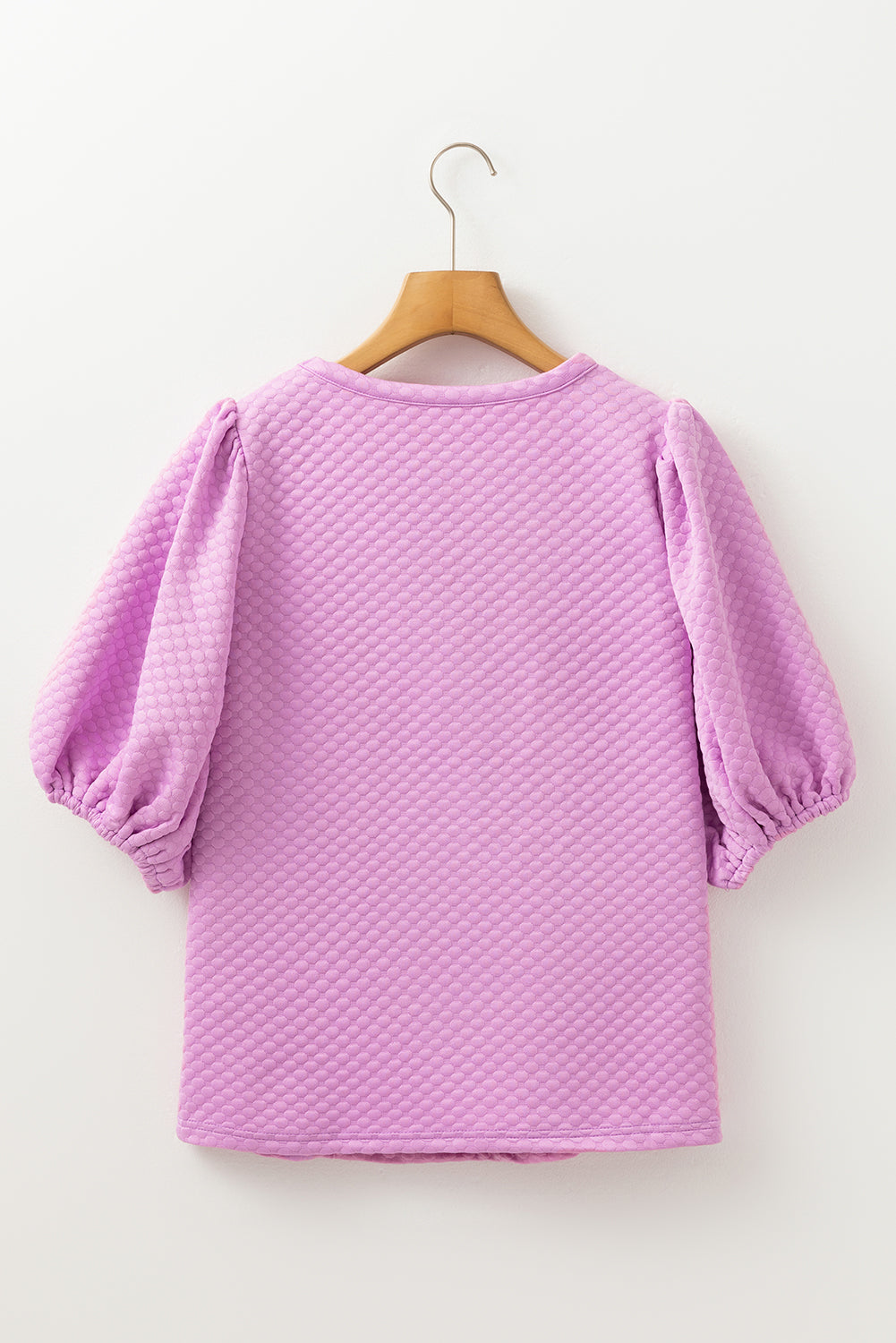 Phalaenopsis Solid Textured O Neck Puff Sleeve Blouse